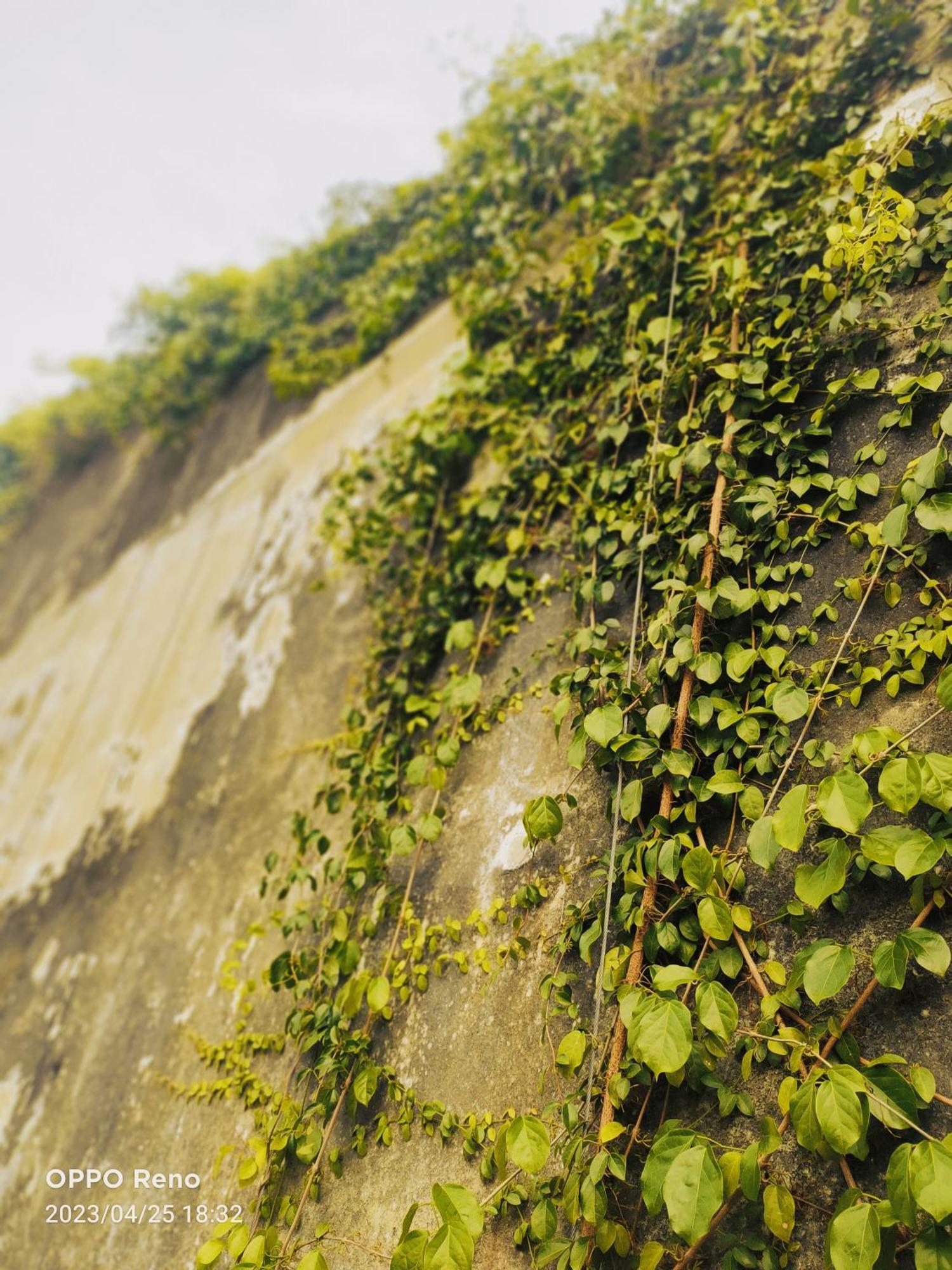 IPOH CONCRETE VILLA 客房 照片